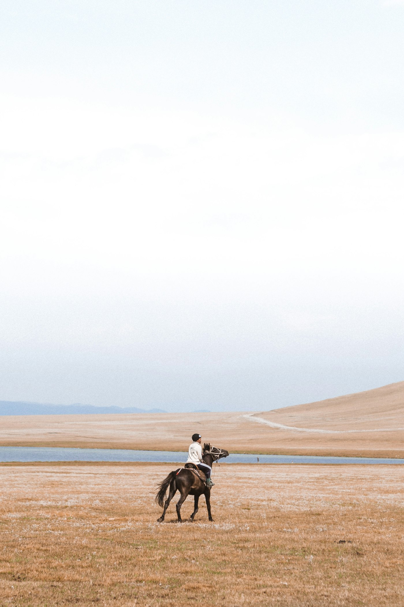 Horse safari through open country
