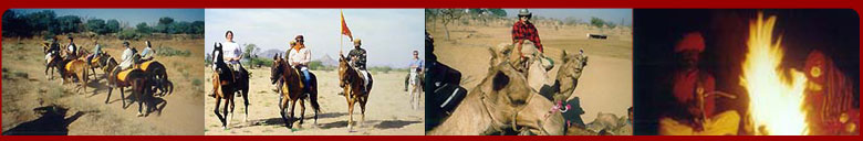 horse riding, camel riding, tourists riding in india and royal camps